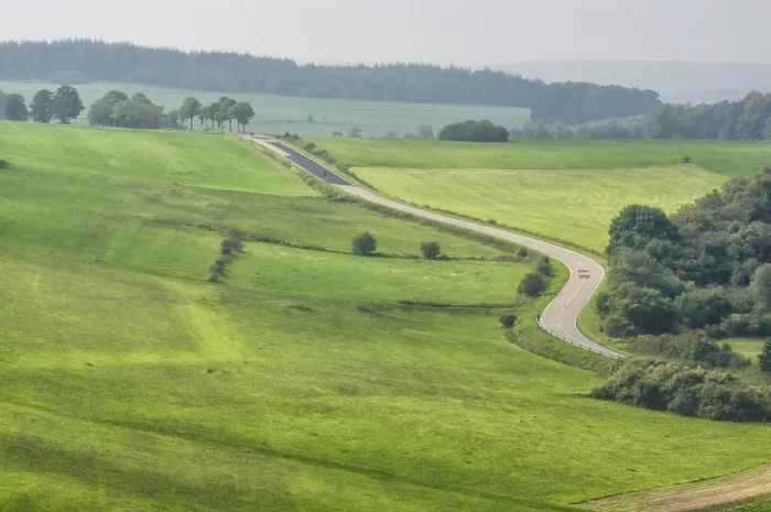 Gerahmter Druck : Eifel-Eindrücke mit Wacholder. Gerahmter Druck : Eifel-Eindrücke mit Wacholder.