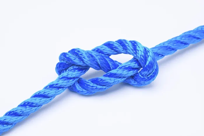 Gerahmter Druck : Achtes Loop in blauer Schnur. Gerahmter Druck : Achtes Loop in blauer Schnur.