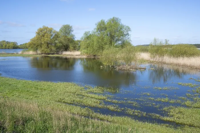 Gerahmter Druck : Elbauen, Talwiesenlandschaft Gerahmter Druck : Elbauen, Talwiesenlandschaft