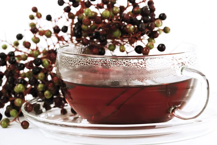Gerahmter Druck : Alte Tee und Elderbeeren Gerahmter Druck : Alte Tee und Elderbeeren