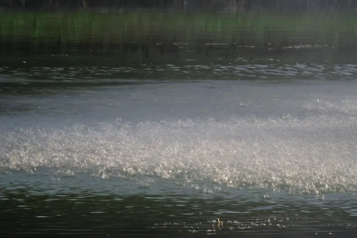 Gerahmter Druck : Sommerliches Wasser in Deutschland Gerahmter Druck : Sommerliches Wasser in Deutschland