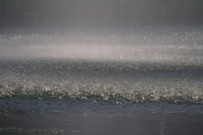 Gerahmter Druck : Sommerliches Wasser in Deutschland
