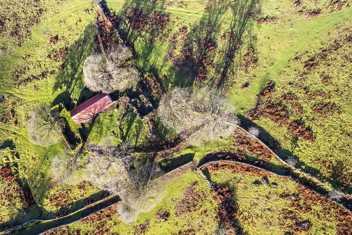 Gerahmter Druck : Top Down über Emsworthy Mire von einem Drohne. Gerahmter Druck : Top Down über Emsworthy Mire von einem Drohne.