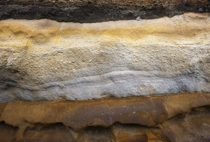 Gerahmter Druck : Erosionssandstein, Rocha da Relva. Gerahmter Druck : Erosionssandstein, Rocha da Relva.