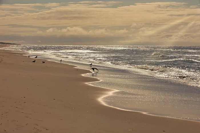 Gerahmter Druck : Strand von Esbjerg, Dänemark Gerahmter Druck : Strand von Esbjerg, Dänemark