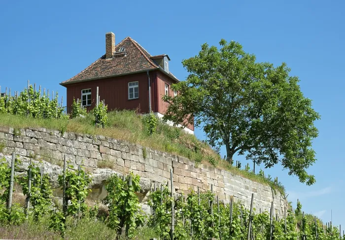 Gerahmter Druck : Gravurhaus am Max-Klinger Weinberg. Gerahmter Druck : Gravurhaus am Max-Klinger Weinberg.
