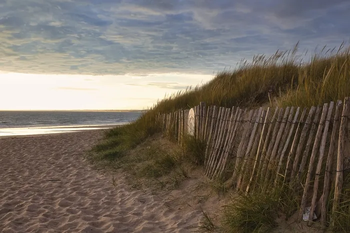 Gerahmter Druck : Abendatmosphäre am Strand. Gerahmter Druck : Abendatmosphäre am Strand.