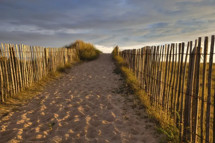 Gerahmter Druck : Abendatmosphäre am Strand. Gerahmter Druck : Abendatmosphäre am Strand.