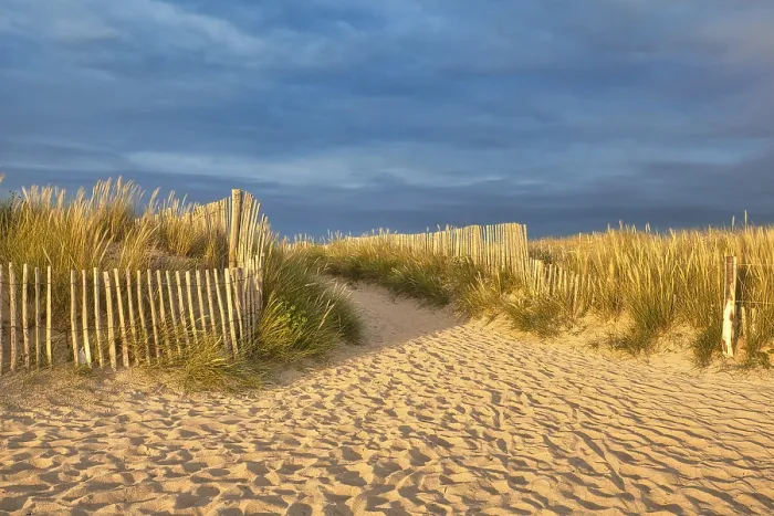 Gerahmter Druck : Abendatmosphäre am Strand. Gerahmter Druck : Abendatmosphäre am Strand.