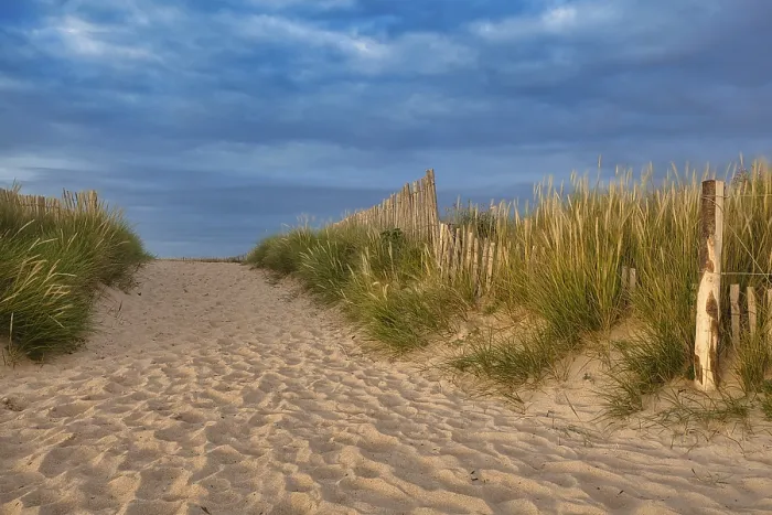 Gerahmter Druck : Abendatmosphäre am Strand. Gerahmter Druck : Abendatmosphäre am Strand.