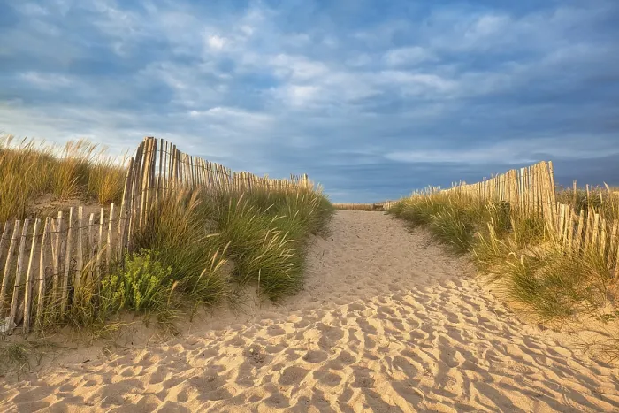 Gerahmter Druck : Abendatmosphäre am Strand. Gerahmter Druck : Abendatmosphäre am Strand.