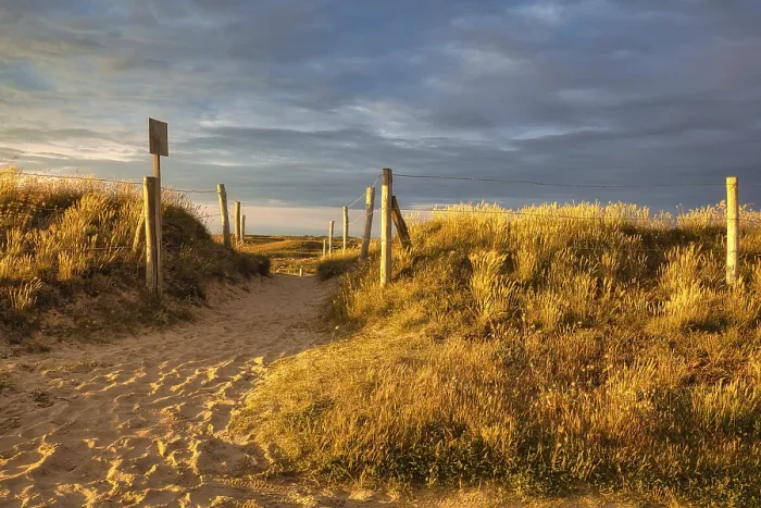 Gerahmter Druck : Abendatmosphäre am Strand. Gerahmter Druck : Abendatmosphäre am Strand.