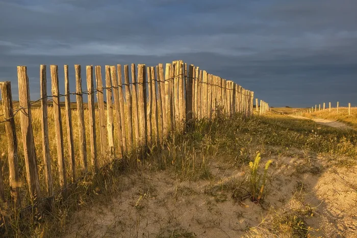 Gerahmter Druck : Abendatmosphäre am Strand. Gerahmter Druck : Abendatmosphäre am Strand.