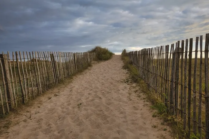 Gerahmter Druck : Abendatmosphäre am Strand. Gerahmter Druck : Abendatmosphäre am Strand.