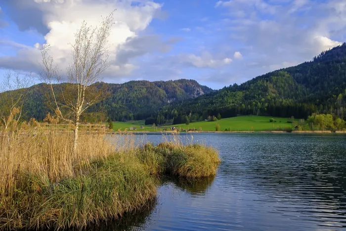 Gerahmter Druck : Abendatmosphäre am Weißensee. Gerahmter Druck : Abendatmosphäre am Weißensee.