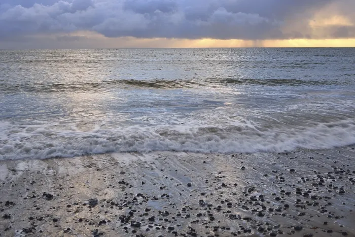 Gerahmter Druck : Abendlicht am Strand auf der Düne. Gerahmter Druck : Abendlicht am Strand auf der Düne.