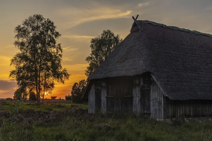 Gerahmter Druck : Abend in der Lüneburger Heide Gerahmter Druck : Abend in der Lüneburger Heide
