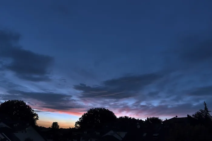 Gerahmter Druck : Abendhimmel mit Baumkonturen. Gerahmter Druck : Abendhimmel mit Baumkonturen.