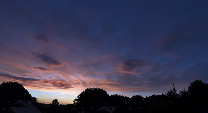 Gerahmter Druck : Abendhimmel mit Baumkonturen. Gerahmter Druck : Abendhimmel mit Baumkonturen.