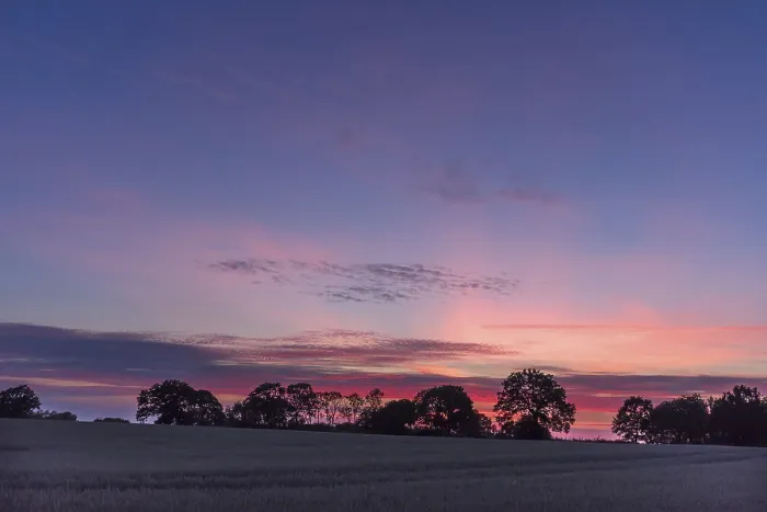 Gerahmter Druck : Abendhimmel mit Baumkonturen. Gerahmter Druck : Abendhimmel mit Baumkonturen.