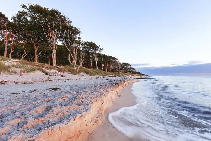 Gerahmter Druck : Abendstimmung am Weststrand von Darss, Ostsee, Nationalpark Vorpommersche Boddenlandschaft, Mecklenburg-Vorpommern Gerahmter Druck : Abendstimmung am Weststrand von Darss, Ostsee, Nationalpark Vorpommersche Boddenlandschaft, Mecklenburg-Vorpommern