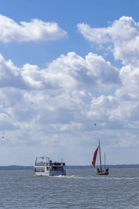 Gerahmter Druck : Ausflugsboot, Zeesboot, Wustrow Gerahmter Druck : Ausflugsboot, Zeesboot, Wustrow
