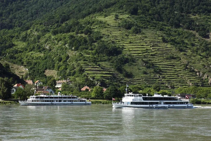Gerahmter Druck : Ausflugsschiffe auf dem Donau-Fluss in Spitz. Gerahmter Druck : Ausflugsschiffe auf dem Donau-Fluss in Spitz.