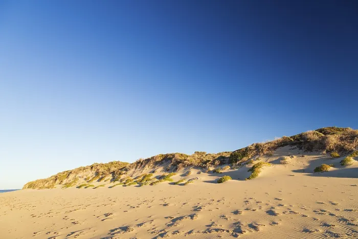 Gerahmter Druck : Weite Sanddünen unter einem hellen Himmel. Gerahmter Druck : Weite Sanddünen unter einem hellen Himmel.