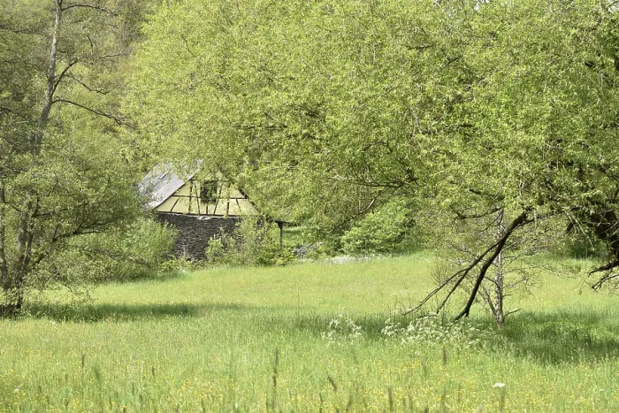 Gerahmter Druck : Weideland. Reich frequentierte Wiesen und historische Mühle im Tal des Gerahmter Druck : Weideland. Reich frequentierte Wiesen und historische Mühle im Tal des
