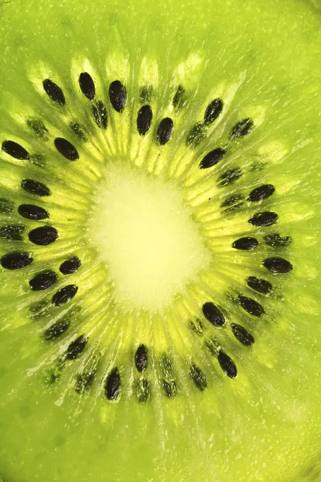 Gerahmter Druck : Extremes Kiwi-Makro