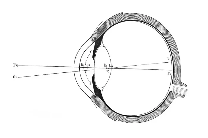Gerahmter Druck : Auge, schematische Darstellung Gerahmter Druck : Auge, schematische Darstellung