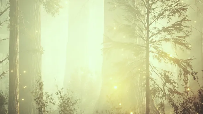 Gerahmter Druck : Fantasie-Feuerschwalbenlichter in der magischen Wald. Gerahmter Druck : Fantasie-Feuerschwalbenlichter in der magischen Wald.
