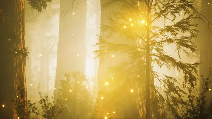 Gerahmter Druck : Fantasiefeuerfliegenlichter im magischen Wald. Gerahmter Druck : Fantasiefeuerfliegenlichter im magischen Wald.