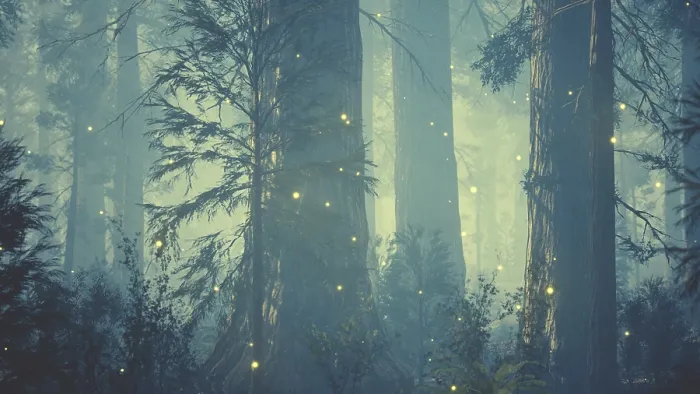 Gerahmter Druck : Fantasiefeuerfliegenlichter in der magischen Wald. Gerahmter Druck : Fantasiefeuerfliegenlichter in der magischen Wald.
