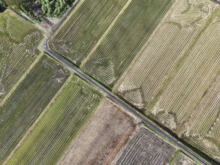 Gerahmter Druck : Ein Bauernhof mit einer Straße, die durch ihn hindurchläuft. Gerahmter Druck : Ein Bauernhof mit einer Straße, die durch ihn hindurchläuft.