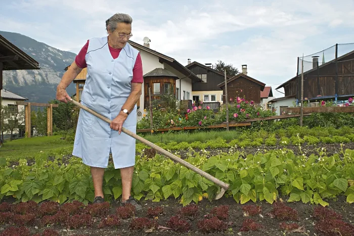 Gerahmter Druck : Bauer arbeitet auf dem Bauernhof, Unkraut in der Gemüsebeete. Gerahmter Druck : Bauer arbeitet auf dem Bauernhof, Unkraut in der Gemüsebeete.