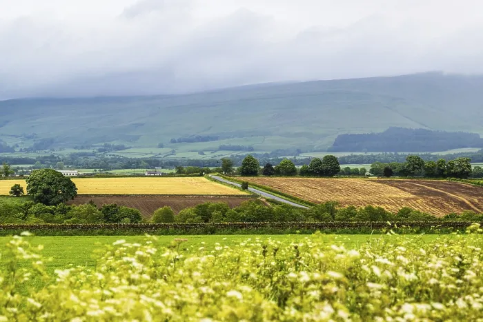 Gerahmter Druck : Felder und Äcker über den Hartside Pass Gerahmter Druck : Felder und Äcker über den Hartside Pass