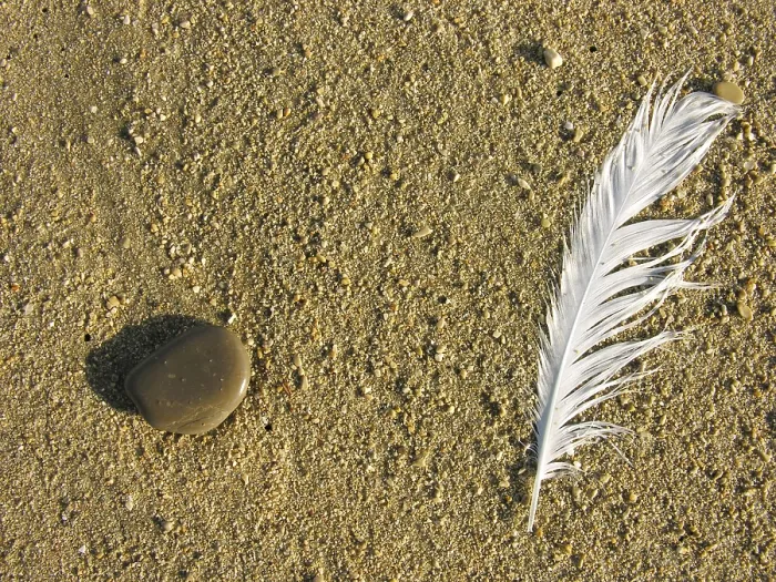 Gerahmter Druck : Feder und Stein im Sand. Gerahmter Druck : Feder und Stein im Sand.