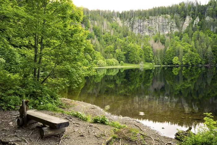 Gerahmter Druck : Der Feldsee mit einem Sitz vor ihm. Gerahmter Druck : Der Feldsee mit einem Sitz vor ihm.