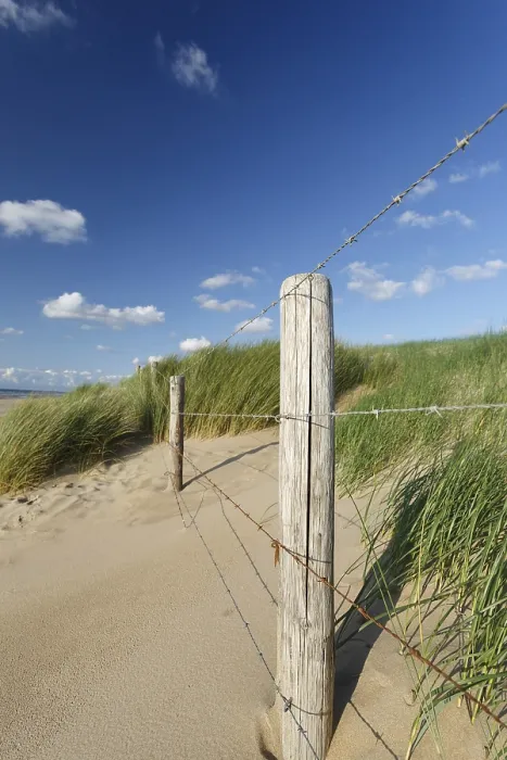 Gerahmter Druck : Zaun an einer Sanddüne Gerahmter Druck : Zaun an einer Sanddüne