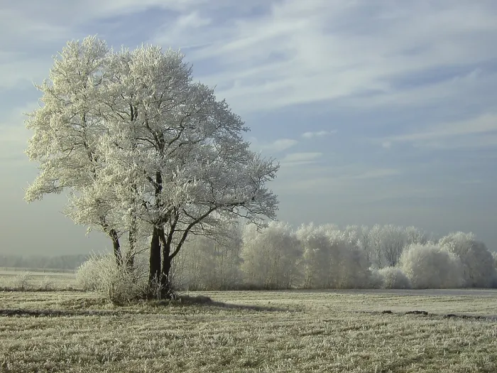 Gerahmter Druck : Field Gerahmter Druck : Field