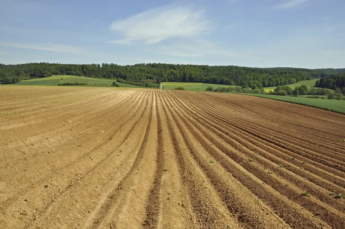 Gerahmter Druck : Feld, Felder, Streifen, Landwirtschaft Gerahmter Druck : Feld, Felder, Streifen, Landwirtschaft
