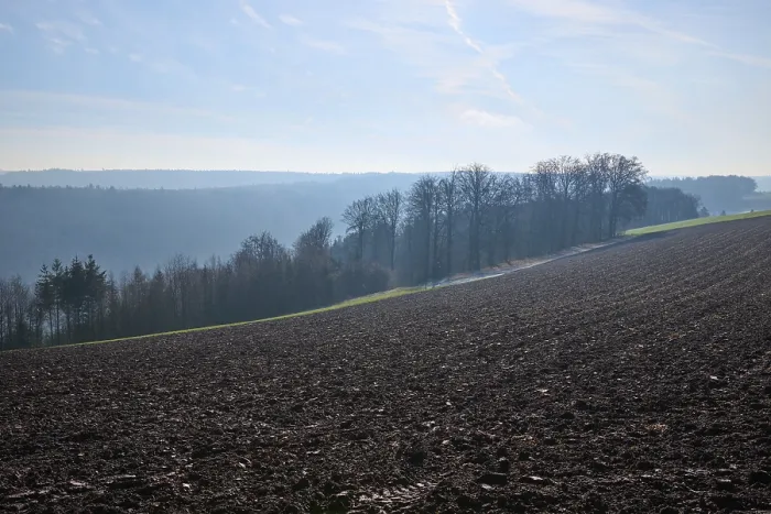 Gerahmter Druck : Feld, Wald, Wolken, Frühling, Walldürn Gerahmter Druck : Feld, Wald, Wolken, Frühling, Walldürn