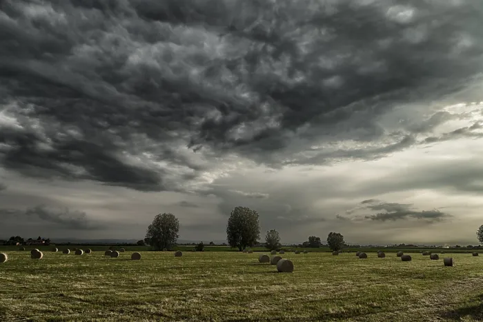 Gerahmter Druck : Ein Feld mit Heuballen in der Romagna in Italien unter dunklen Wolken. Gerahmter Druck : Ein Feld mit Heuballen in der Romagna in Italien unter dunklen Wolken.
