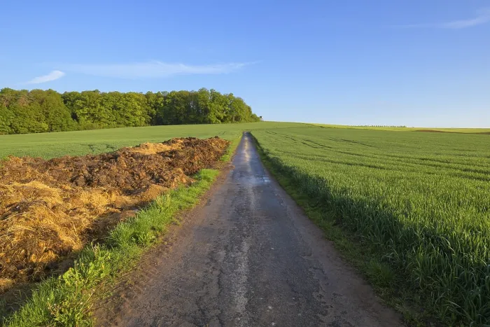 Gerahmter Druck : Feldlandschaft mit Straße im Frühling. Gerahmter Druck : Feldlandschaft mit Straße im Frühling.