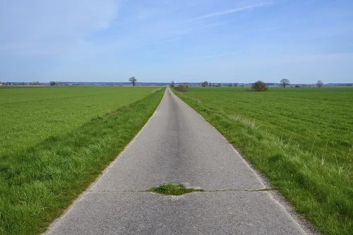 Gerahmter Druck : Feldweg, Wiesenlandschaft, Frühling. Gerahmter Druck : Feldweg, Wiesenlandschaft, Frühling.