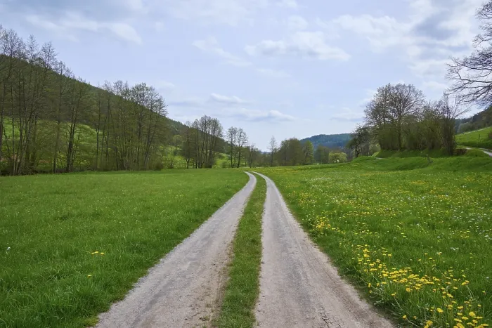 Gerahmter Druck : Feldweg, Weidelandlandschaft, Bäume. Gerahmter Druck : Feldweg, Weidelandlandschaft, Bäume.