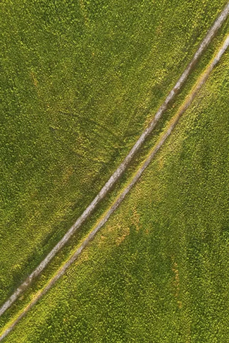 Gerahmter Druck : Feldweg durch gemähtes Gras.