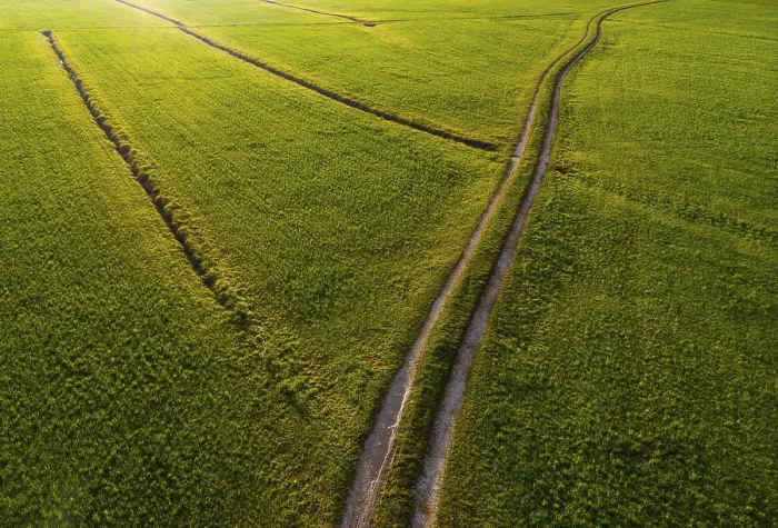 Gerahmter Druck : Feldweg durch gemähtes Grasfeld Gerahmter Druck : Feldweg durch gemähtes Grasfeld