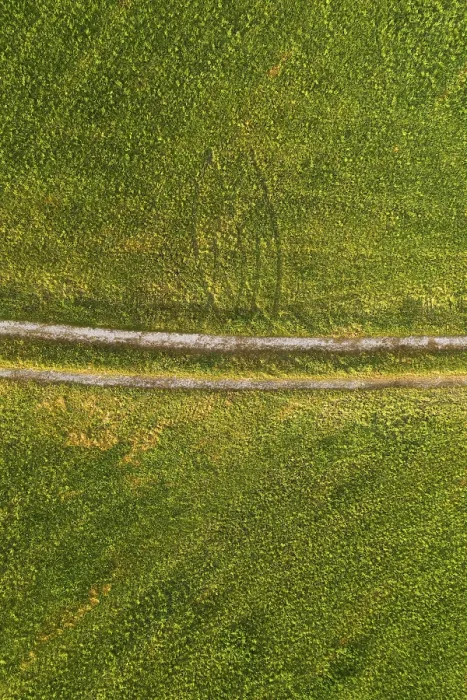 Gerahmter Druck : Feldweg durch gemähtes Gras. Gerahmter Druck : Feldweg durch gemähtes Gras.